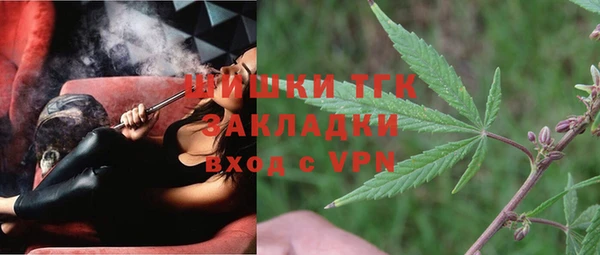 твердый Аркадак