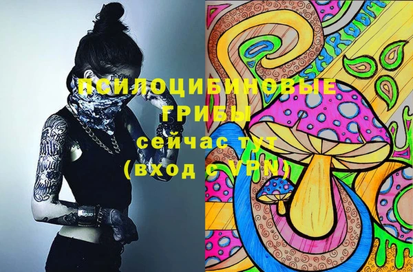 твердый Арсеньев