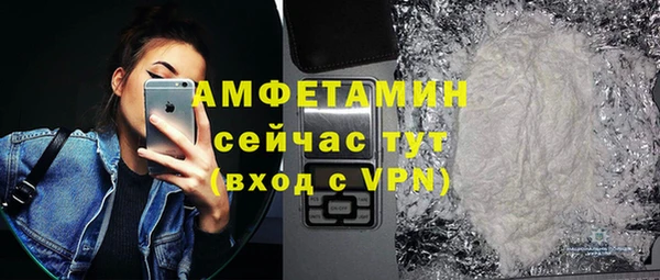 твердый Арсеньев