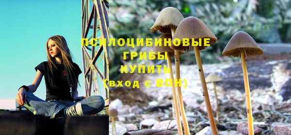 мескалин Балахна