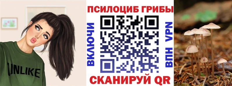Галлюциногенные грибы Magic Shrooms где купить Нижнеудинск